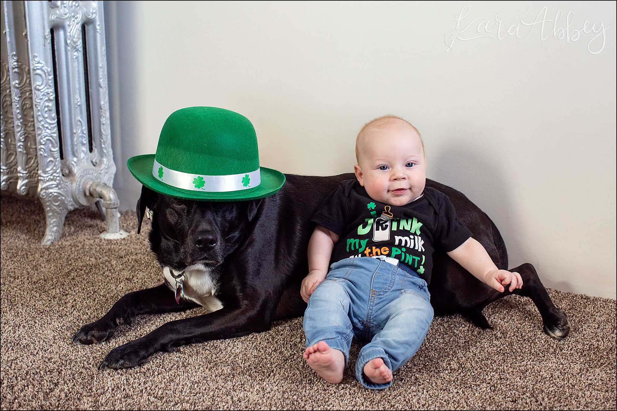 Black Lab & Baby on St. Patrick's Day in Irwin, PA
