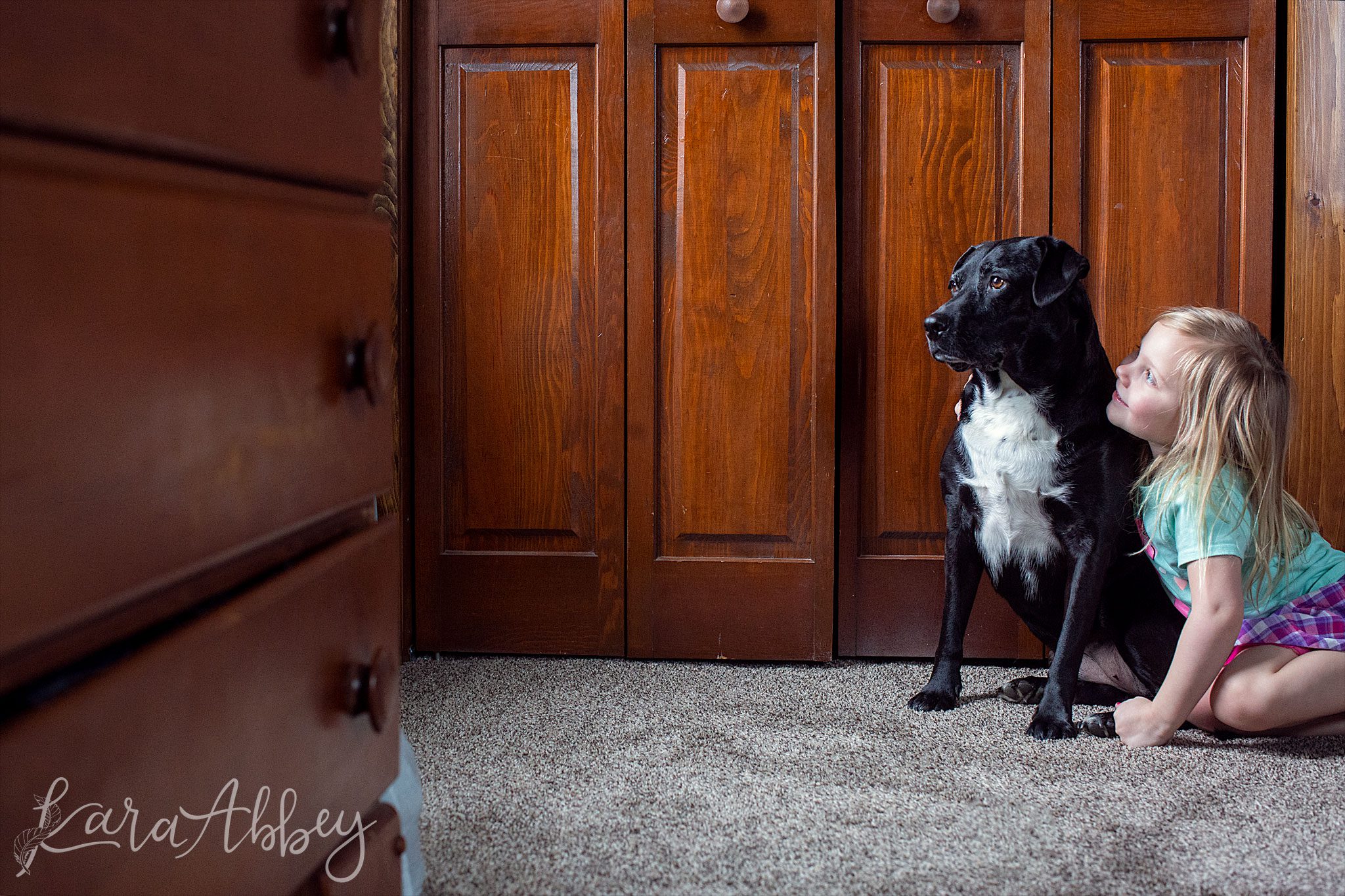Black Lab & Toddler Look Out the Window in Irwin, PA