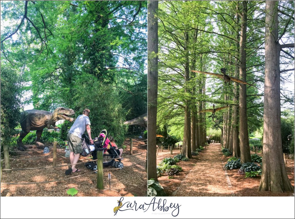 Our Family Trip to 4 Different Amusement Parks: Dutch Wonderland in Lancaster, PA