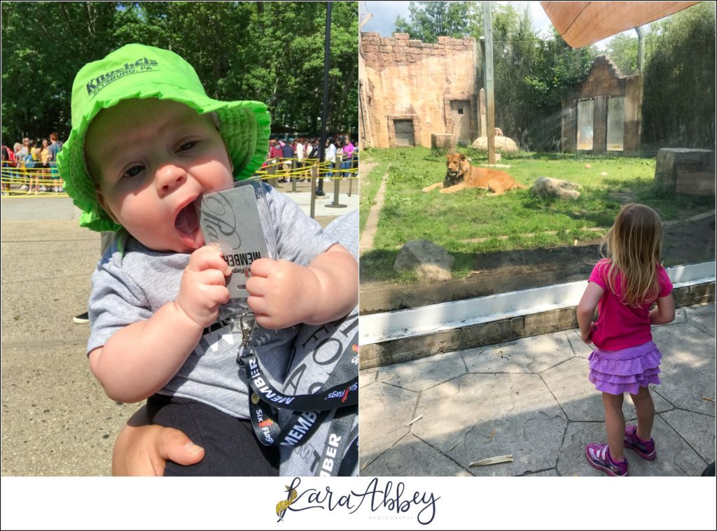 Our Family Trip to 4 Different Amusement Parks: Six Flags Great Adventure in NJ