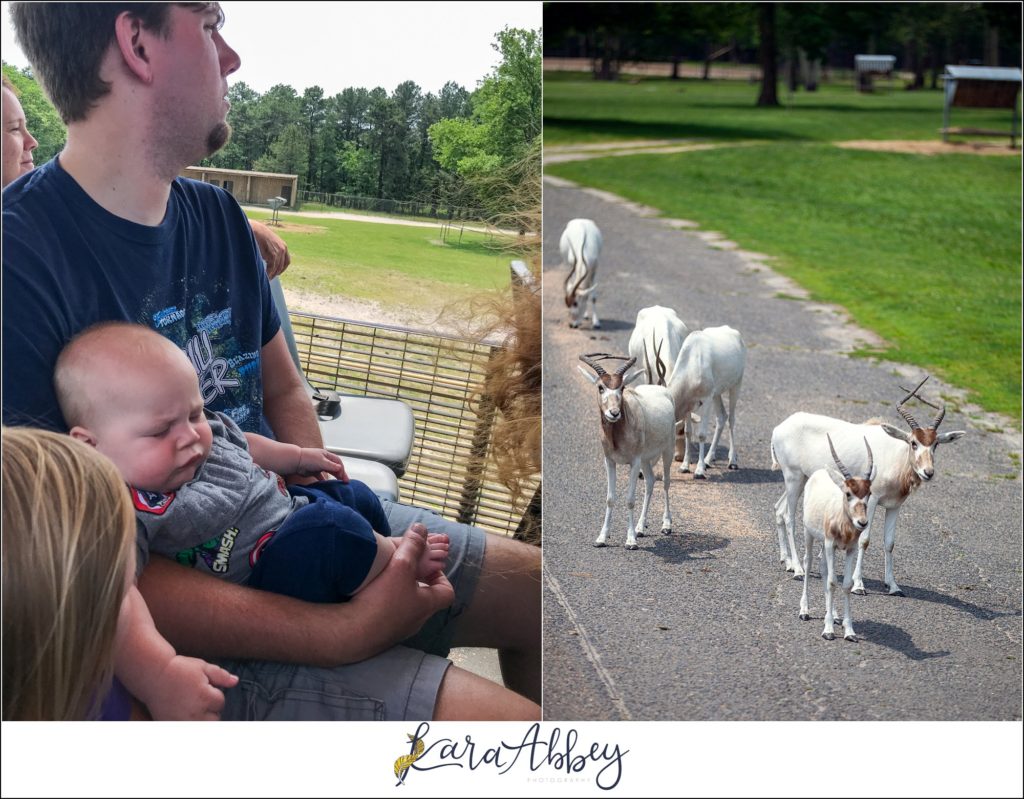 Our Family Trip to 4 Different Amusement Parks: Six Flags Great Adventure in NJ