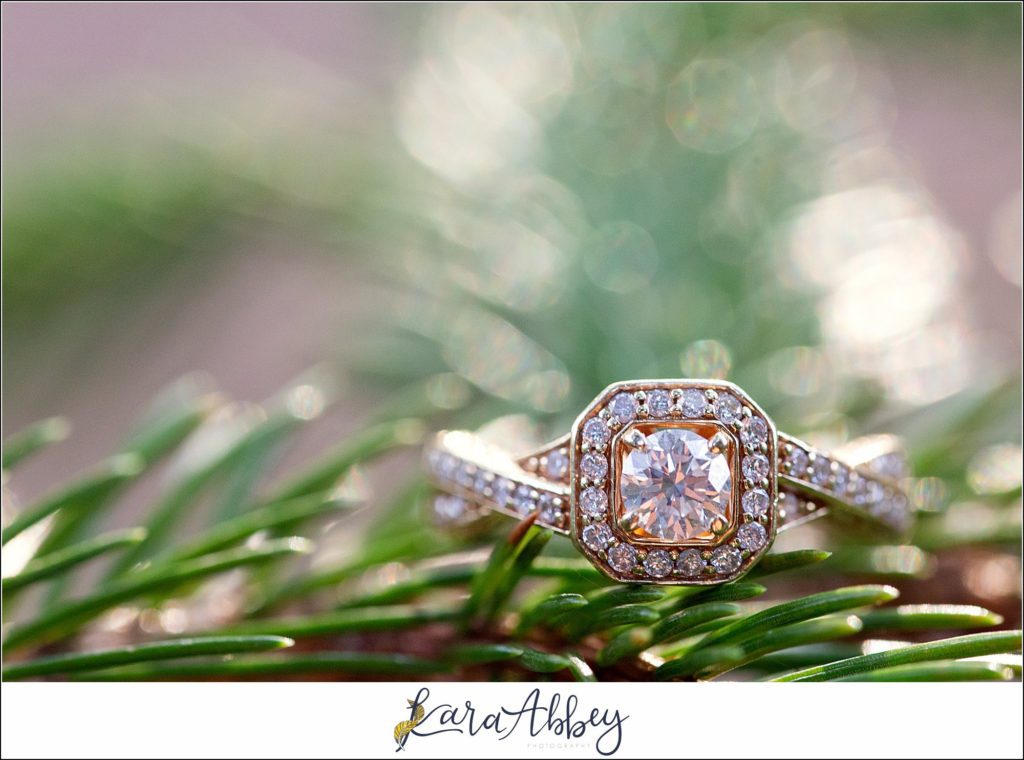 Summer Engagement Session at Deep Creek Lake State Park Published on Tacari Weddings: a Modern Wedding Blog