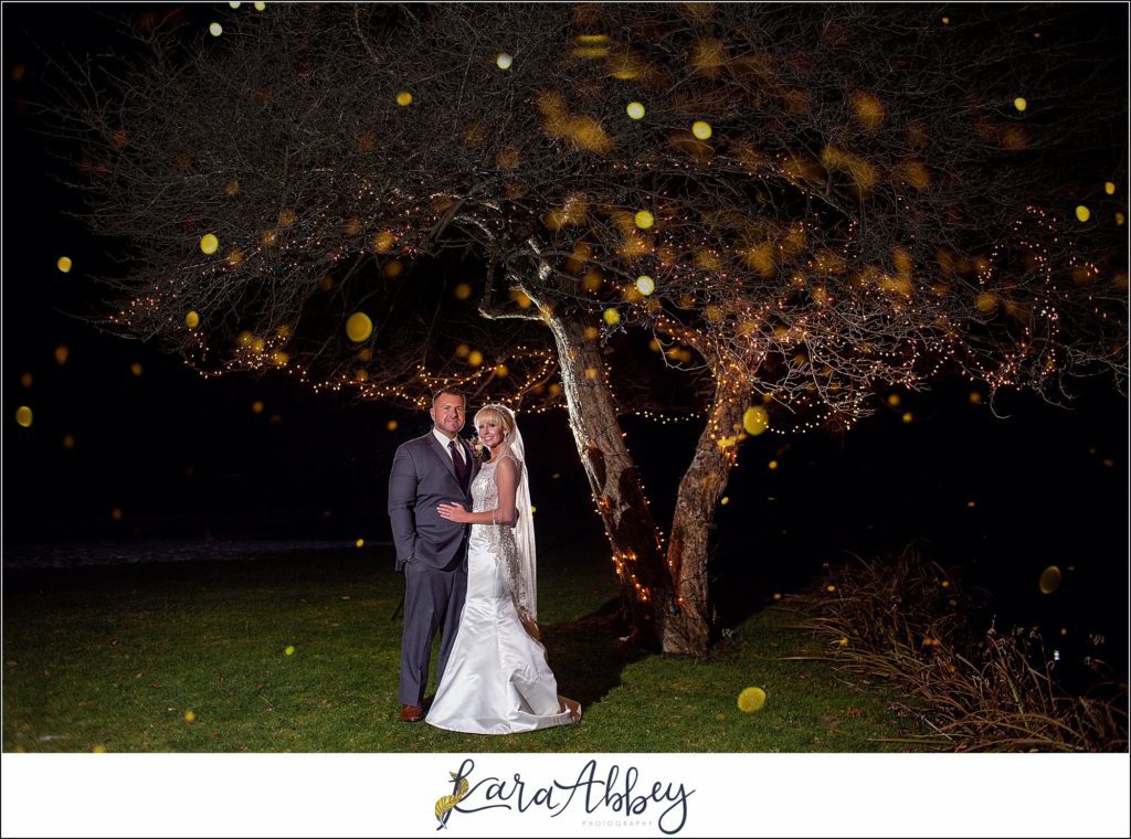 Purple & Grey Fall Wedding Pictures at Green Gables Jennerstown PA - Bride & Groom Portraits Under the Twinkly Lights Tree