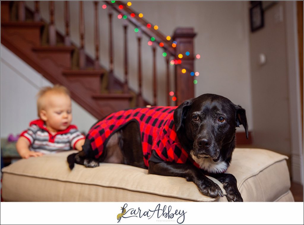 Bloopers and Outtakes of Abby's Saturday Weekly Portraits in Irwin PA