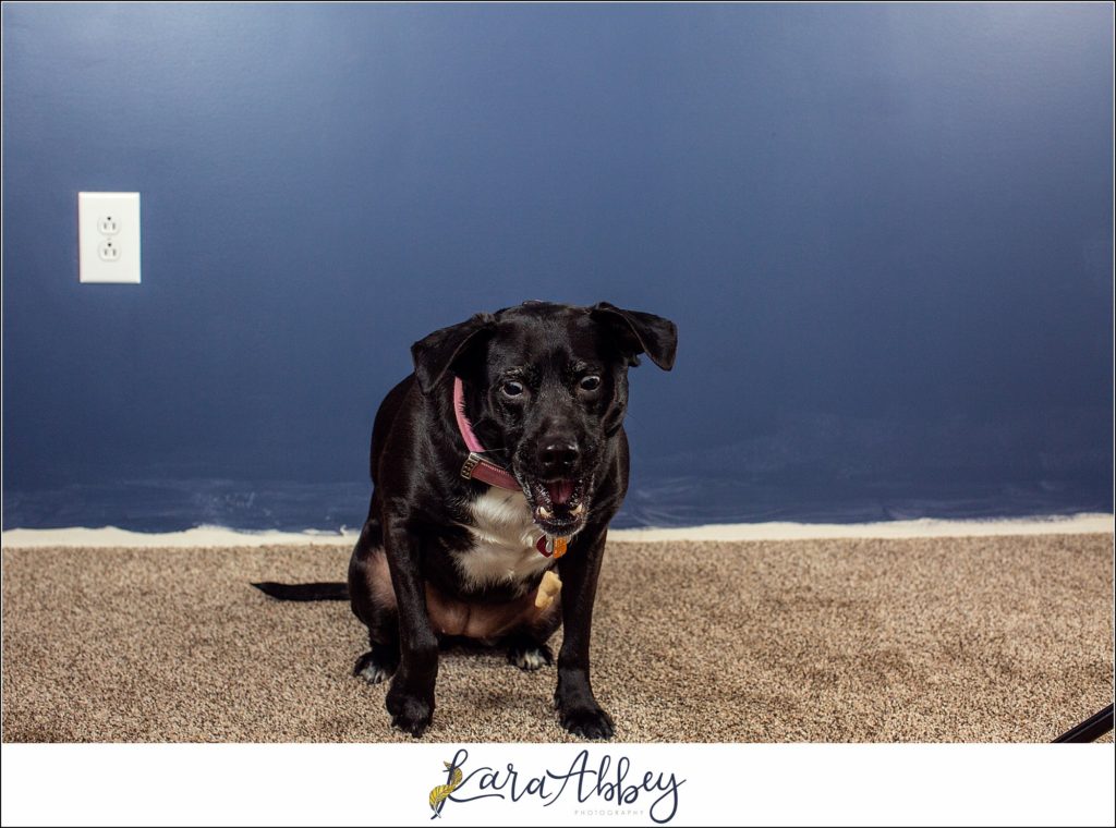 Bloopers and Outtakes of Abby's Saturday Weekly Portraits in Irwin PA
