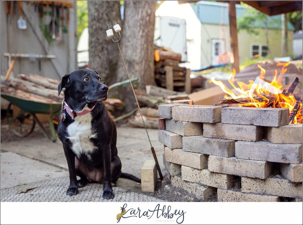 Bloopers and Outtakes of Abby's Saturday Weekly Portraits in Irwin PA