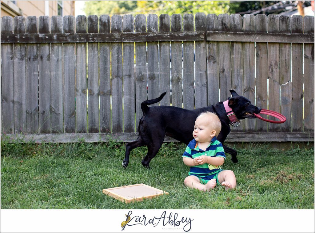 Bloopers and Outtakes of Abby's Saturday Weekly Portraits in Irwin PA