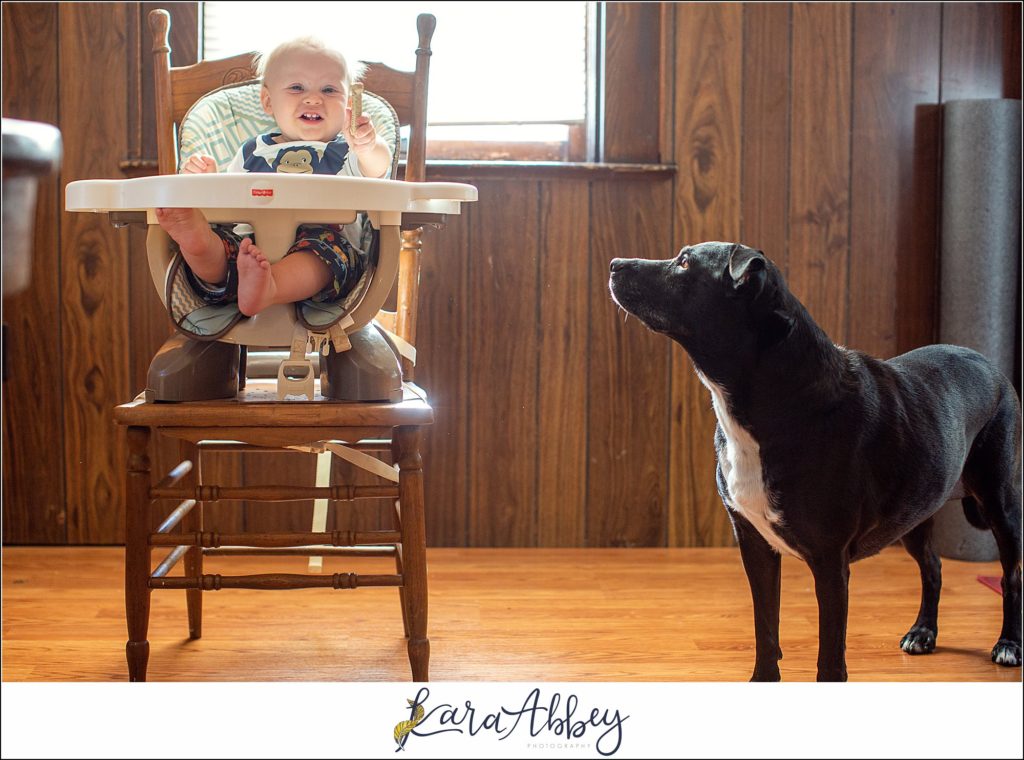 Bloopers and Outtakes of Abby's Saturday Weekly Portraits in Irwin PA