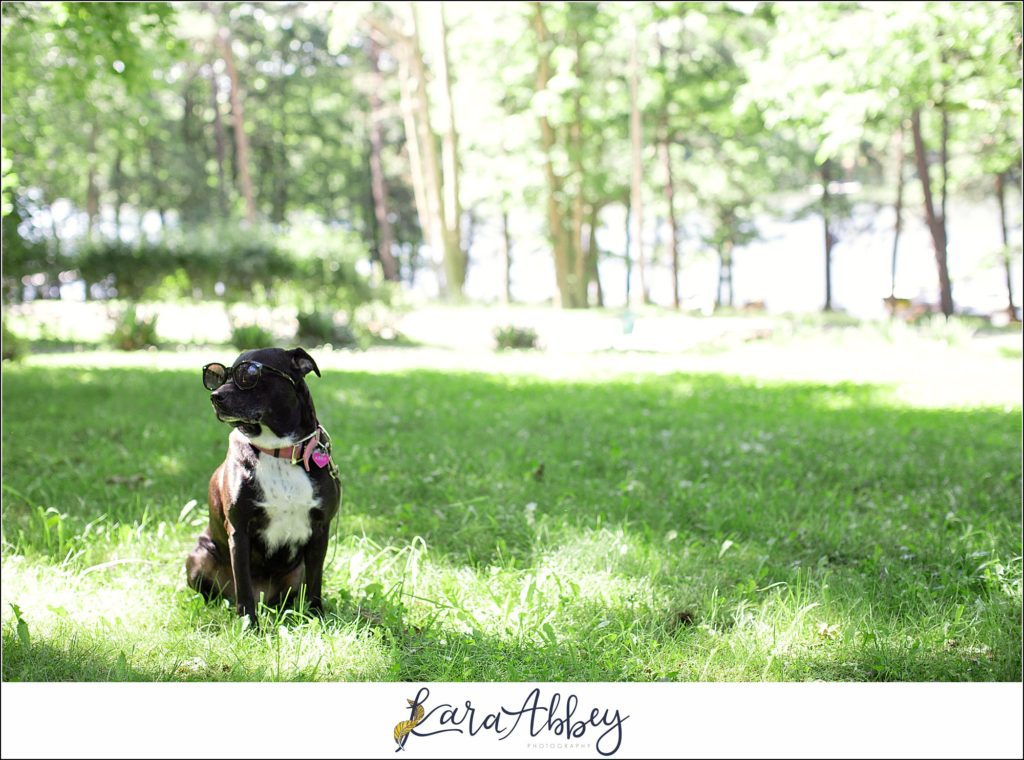 Bloopers and Outtakes of Abby's Saturday Weekly Portraits in Irwin PA
