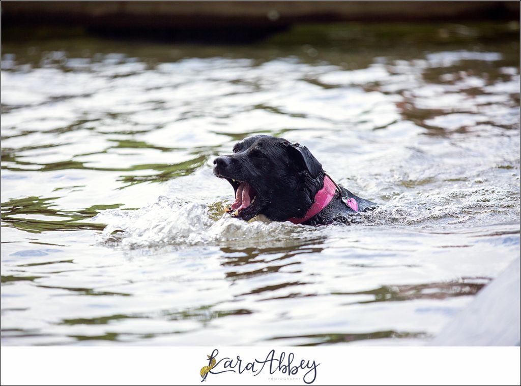 Bloopers and Outtakes of Abby's Saturday Weekly Portraits in Irwin PA
