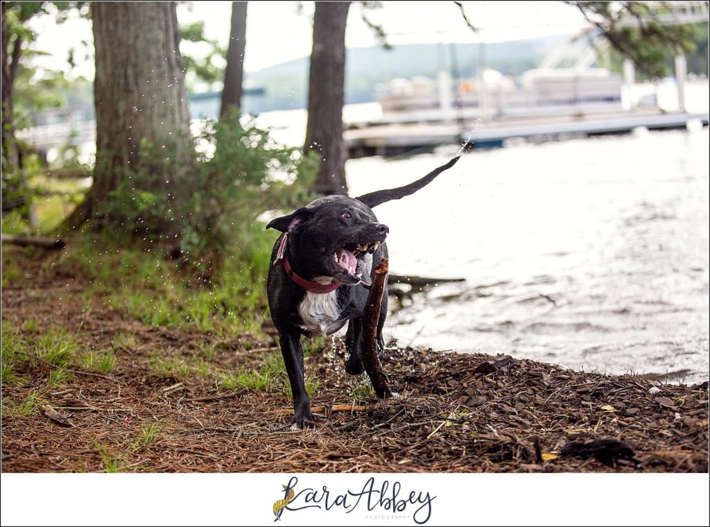 Bloopers and Outtakes of Abby's Saturday Weekly Portraits in Irwin PA