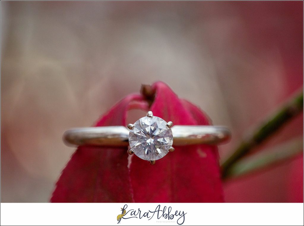 Late Fall Engagement Session at Mammoth Park in Greensburg PA