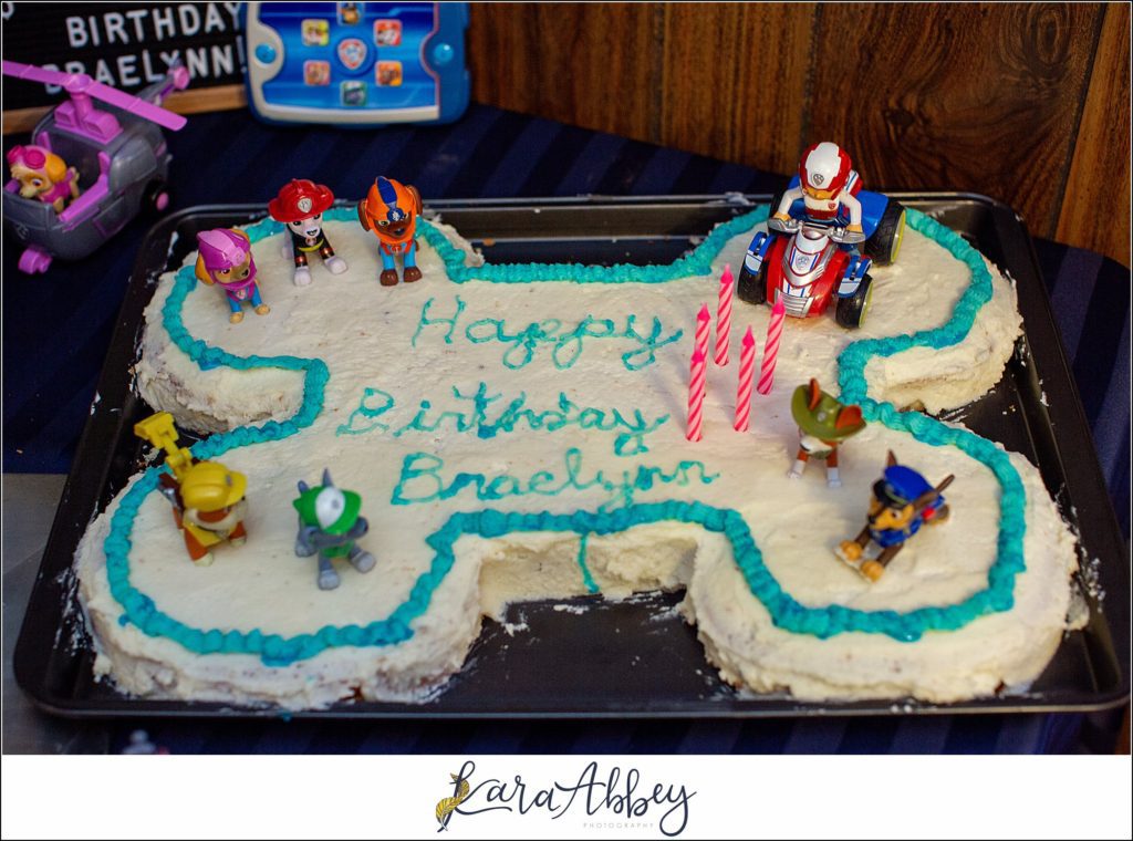 PAW Patrol Birthday Party 5 Years Old in Irwin PA