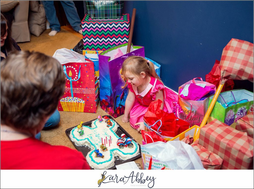 PAW Patrol Birthday Party 5 Years Old in Irwin PA