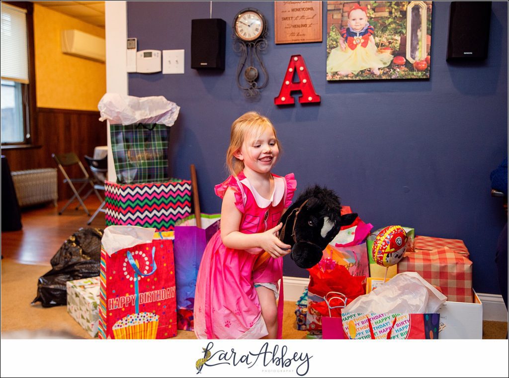 PAW Patrol Birthday Party 5 Years Old in Irwin PA