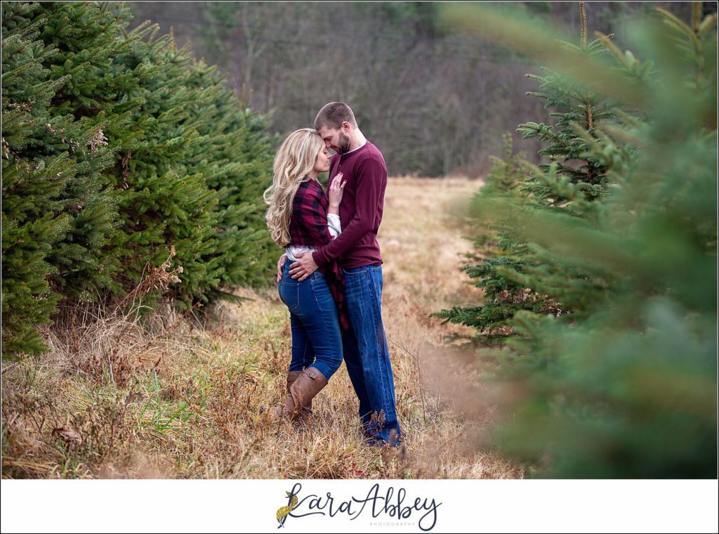 Cold Rainy Engagement Session on Family Christmas Tree Farm in Pennsylvania by Kara Abbey Photography