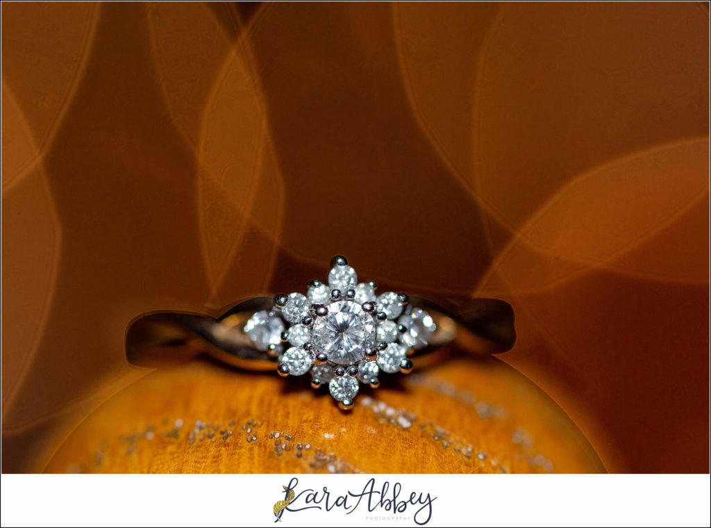 Best Pittsburgh PA Engagement Photographer Highlights of 2019 - Irwin, PA