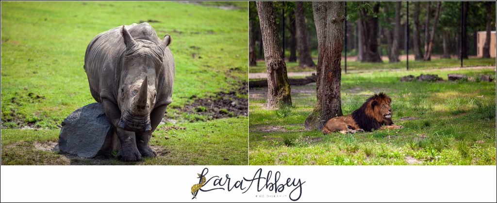 The Abbey Family Favorite Highlight Images from 2019