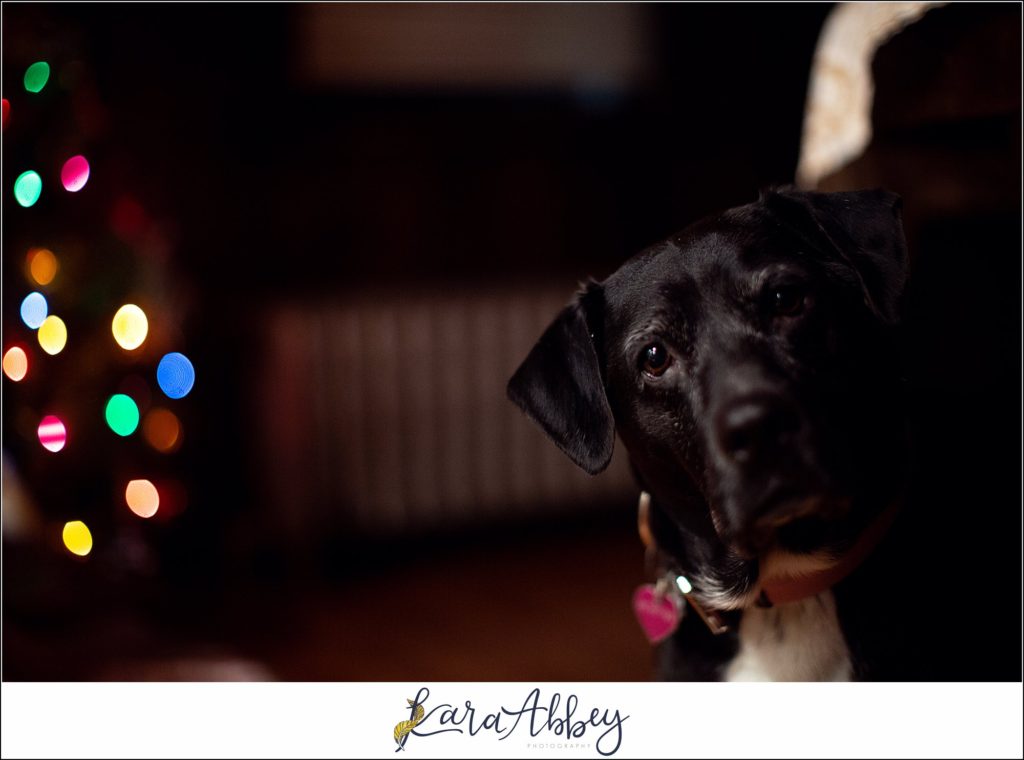The Abbey Family Favorite Highlight Images from 2019