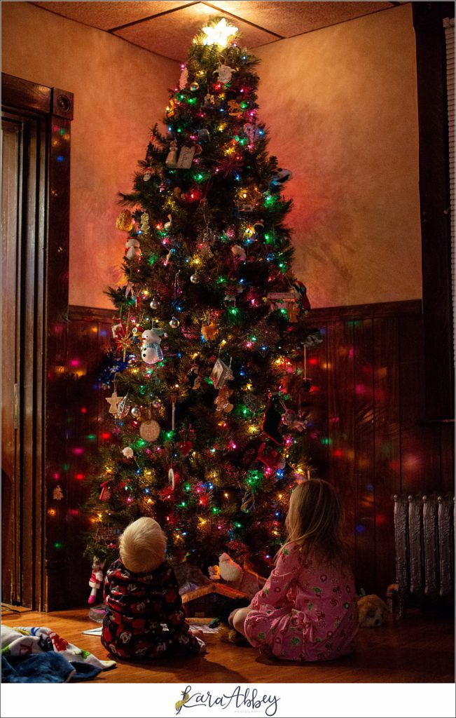 The Abbey Family Favorite Highlight Images from 2019