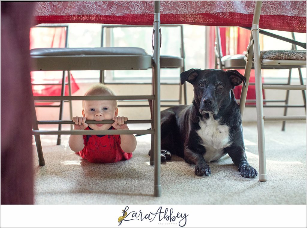 The Abbey Family Favorite Highlight Images from 2019