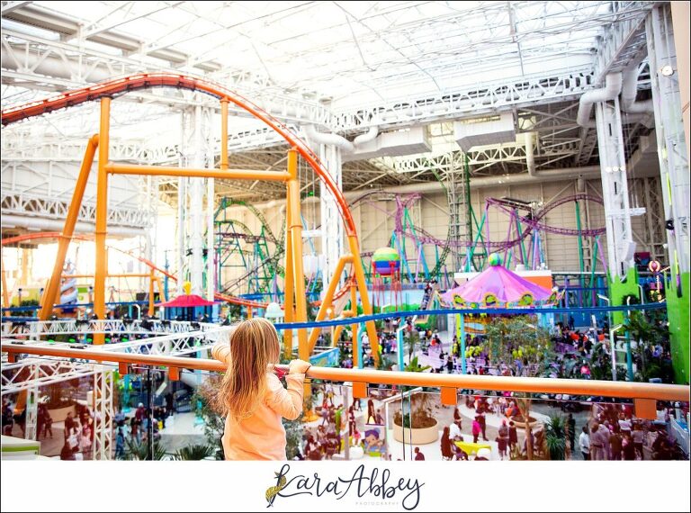 American Dream, 2nd largest mall in US, opens in New Jersey, along with  Nickelodeon Universe Theme Park - 6abc Philadelphia