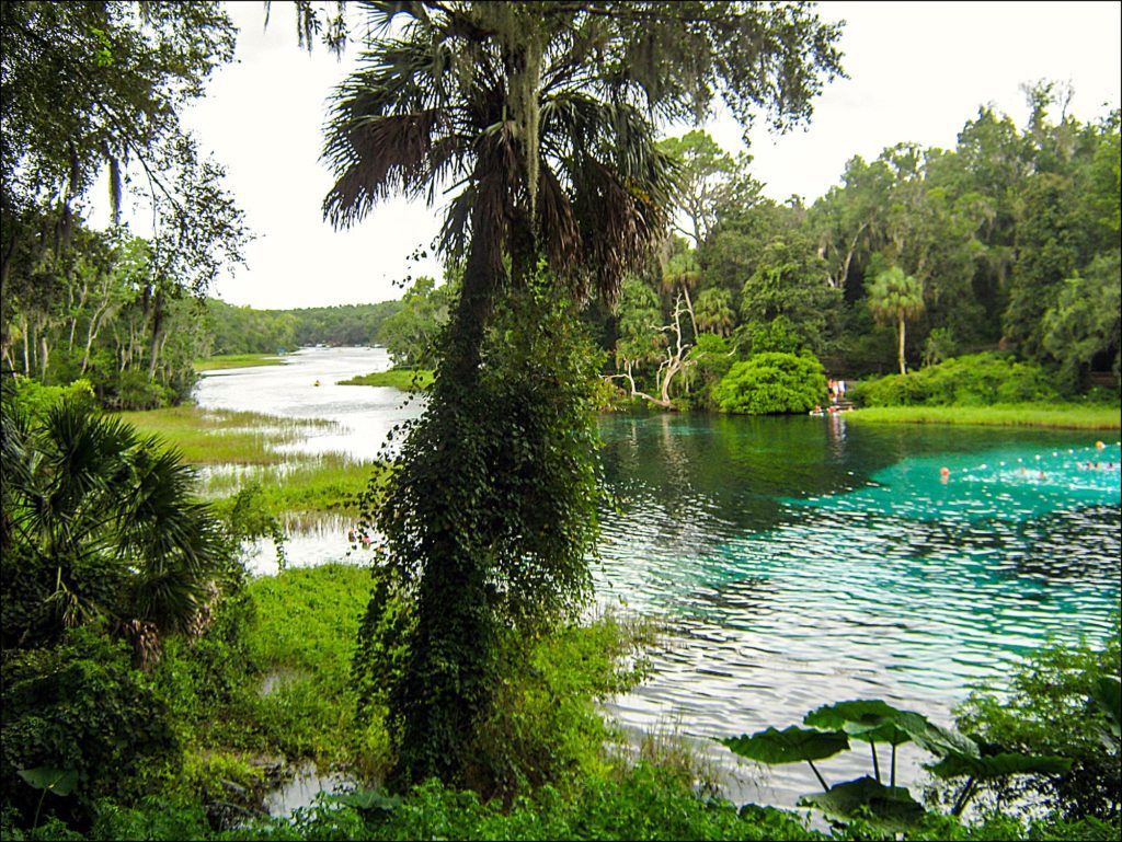 Our Love Story - The Proposal at Rainbow Springs State Park
