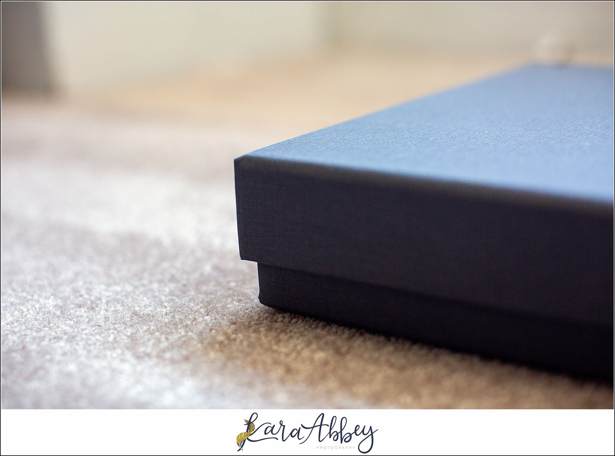 Fine Art Pearlescent Blue Leather Wedding Album from Linden Hall Fall Wedding
