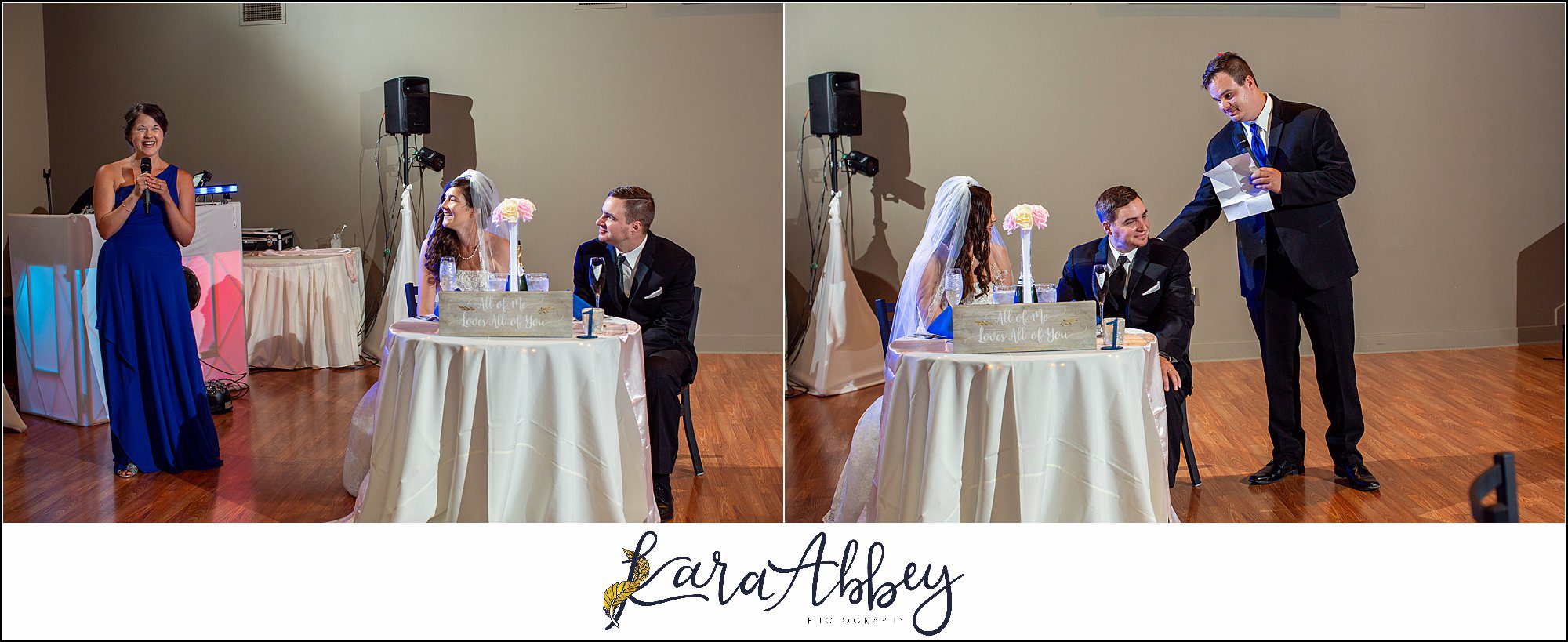 Intimate Summer Wedding Reception at Antonelli Event Center in Irwin, PA Toasts