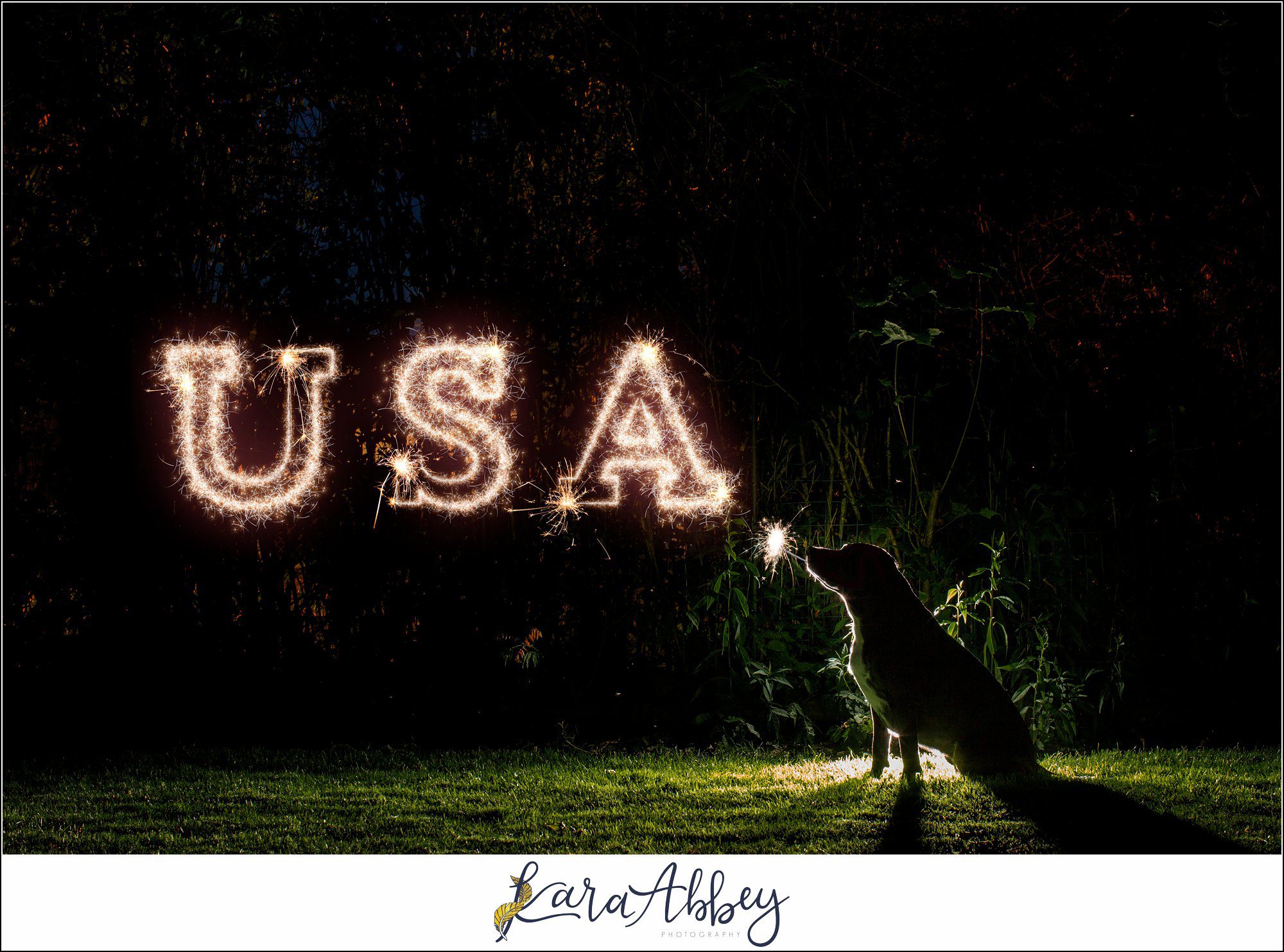 Happy Fourth Of July USA Sparklers in Irwin PA