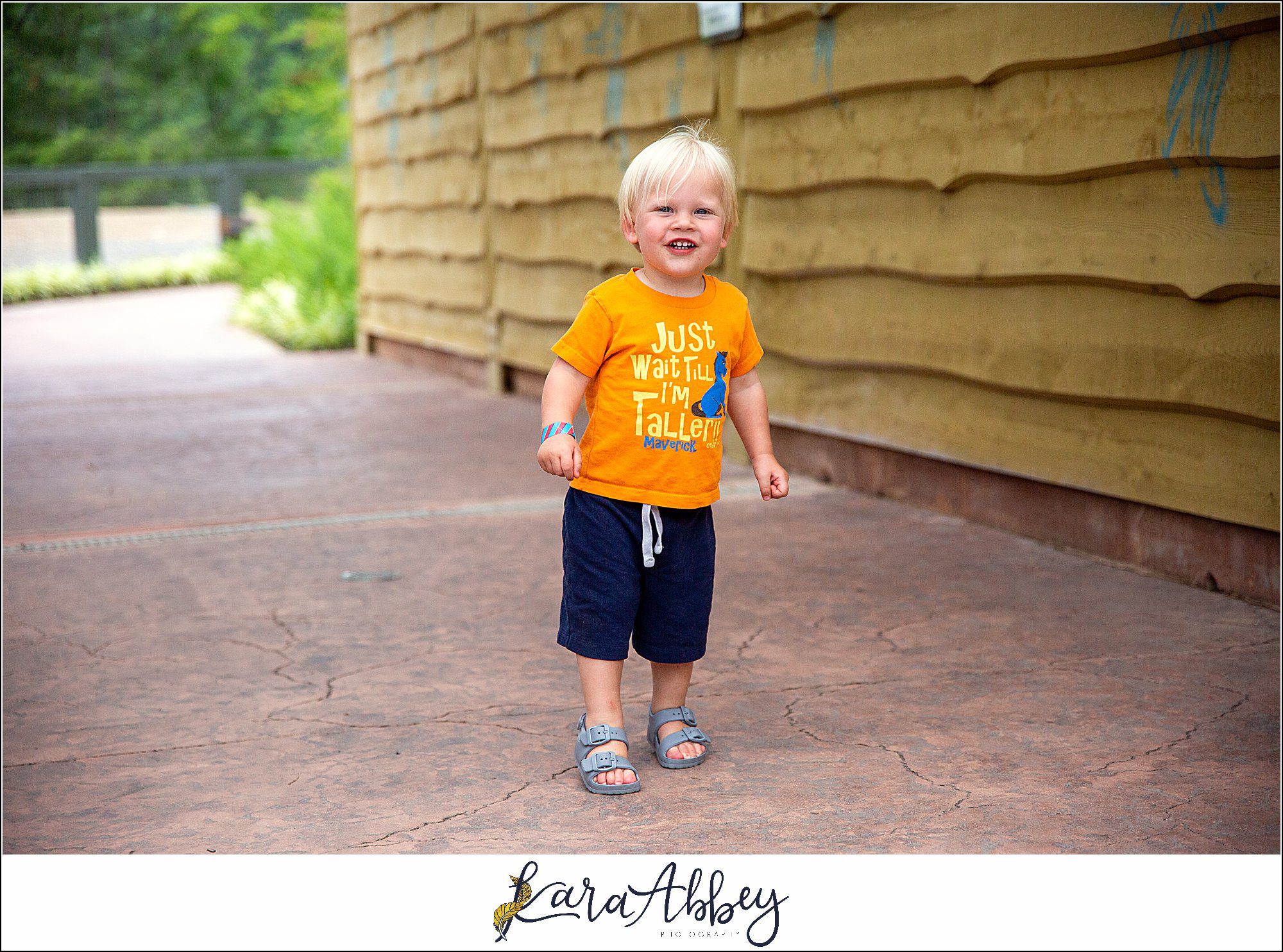 The Adventuring Abbeys go to Dollywood in Tennessee