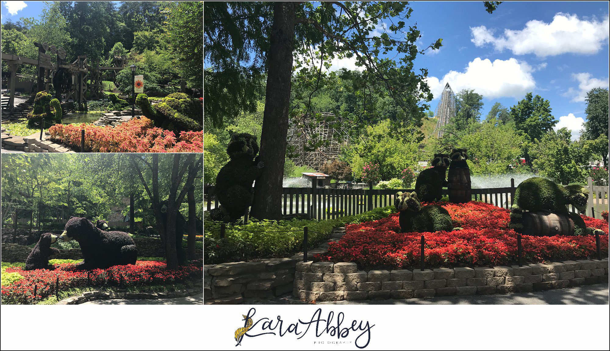 The Adventuring Abbeys go to Dollywood in Tennessee