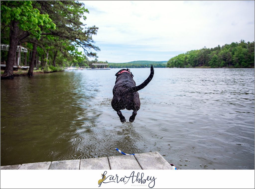 The Adventuring Abbeys Summer at Deep Creek Lake MD