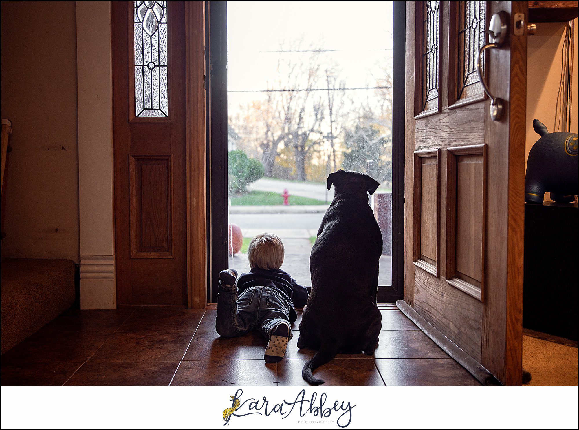 Abbys Saturday Black Lab and Toddler Looking Out Window in Irwin PA