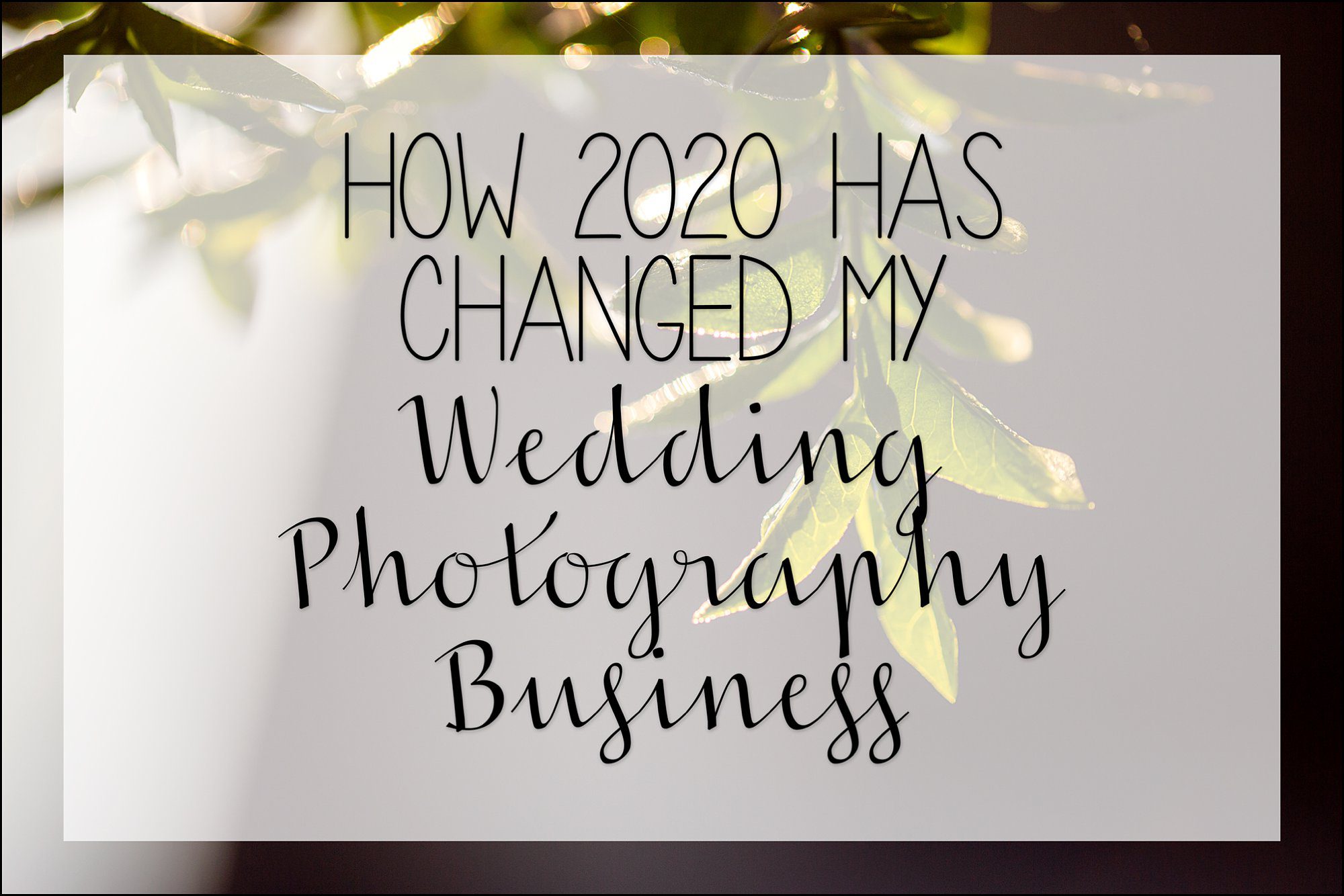 how 2020 has changed my wedding photography business