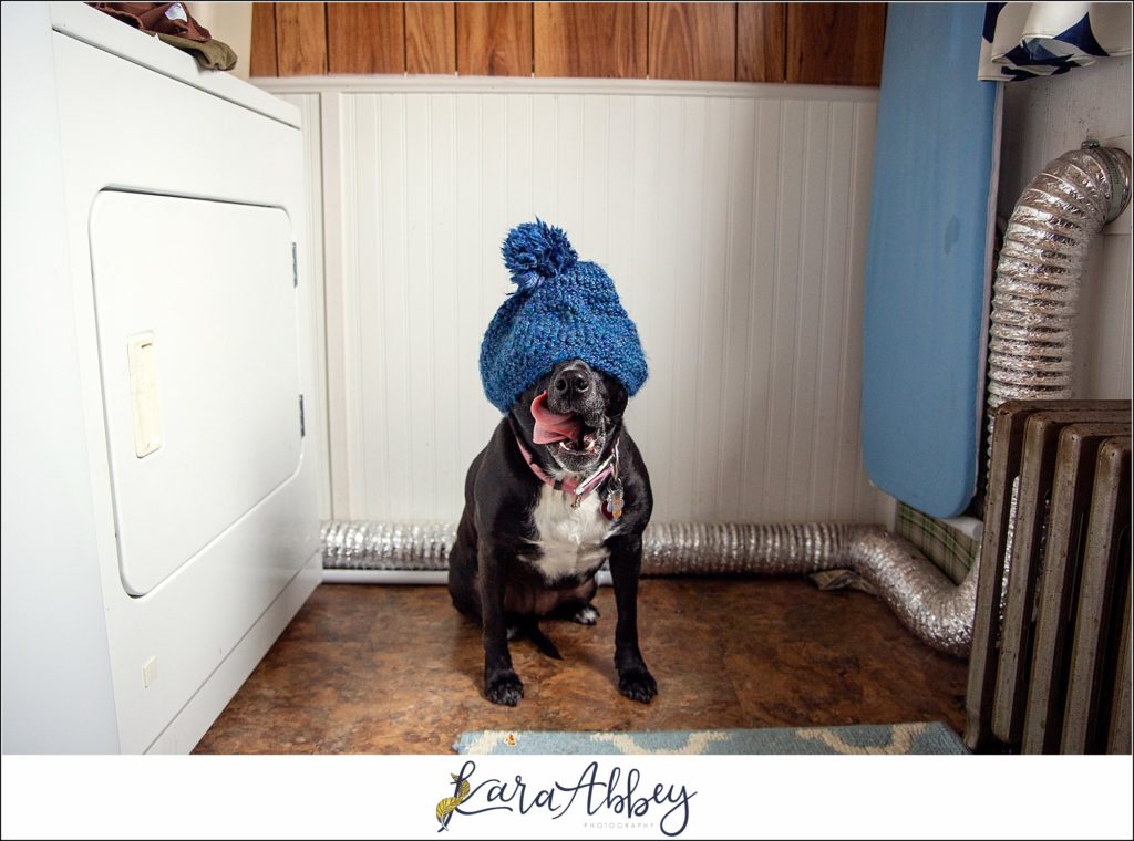 Behind The Scenes and Bloopers of Taking a Weekly Photo of my Dog in Irwin PA