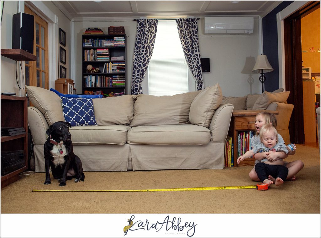 Behind The Scenes and Bloopers of Taking a Weekly Photo of my Dog in Irwin PA