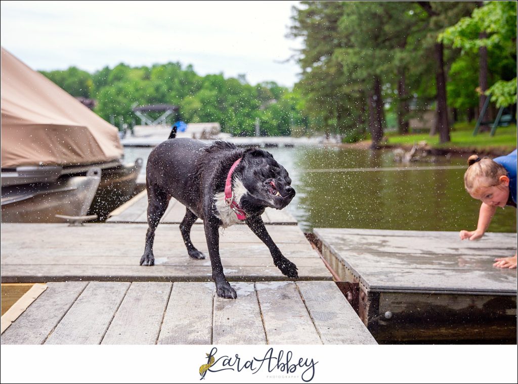 Behind The Scenes and Bloopers of Taking a Weekly Photo of my Dog in Irwin PA