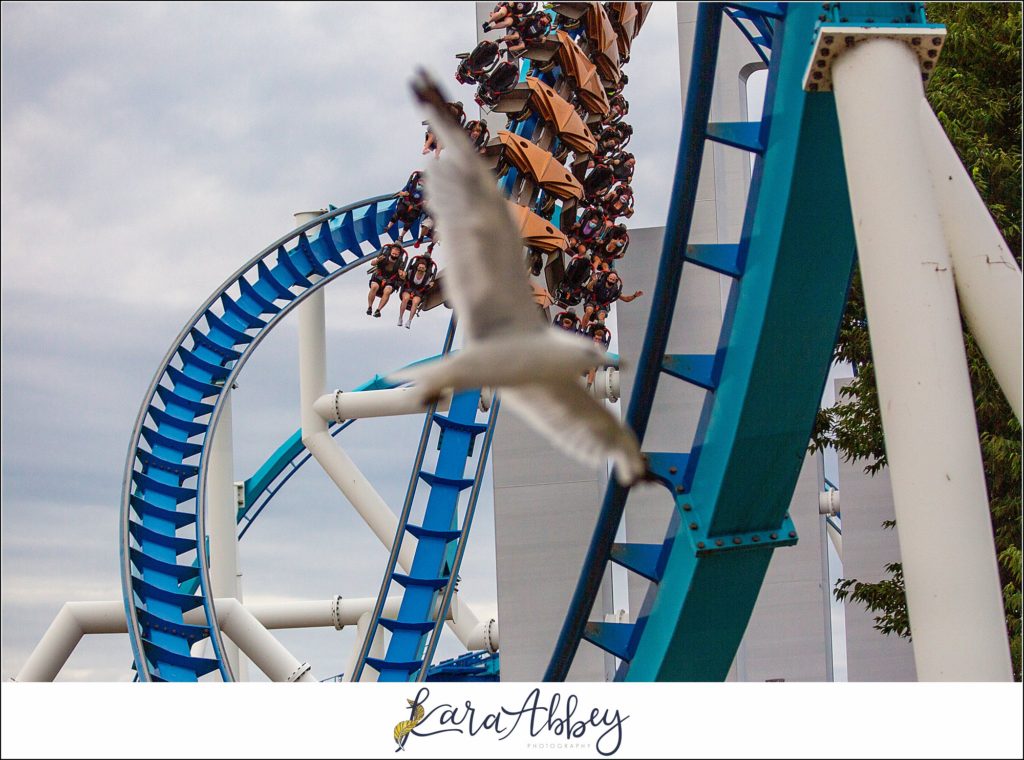 Amazing Roller Coaster Photography by Amusement Park Photographer in Pittsburgh PA