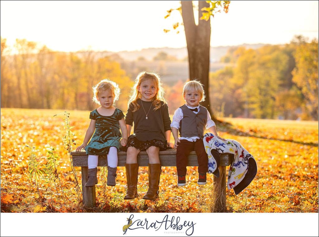 Favorite Personal Images from 2020 by Kara Abbey Photography in Irwin PA