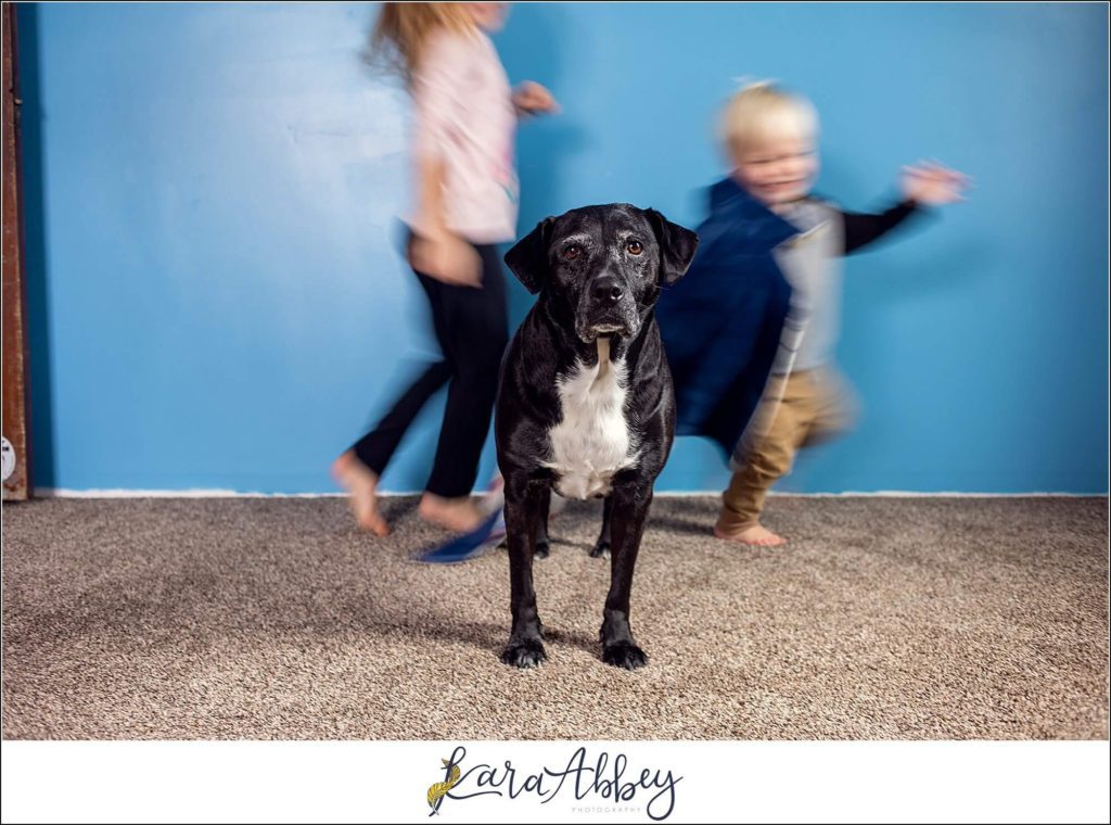 Favorite Personal Images from 2020 by Kara Abbey Photography in Irwin PA