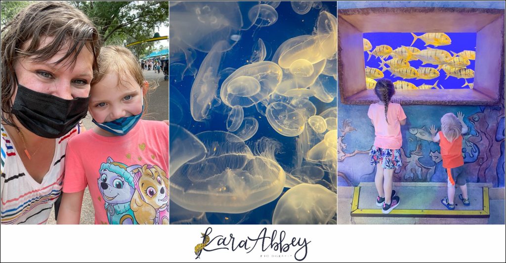 Our Week Long Trip to Florida The Adventuring Abbeys