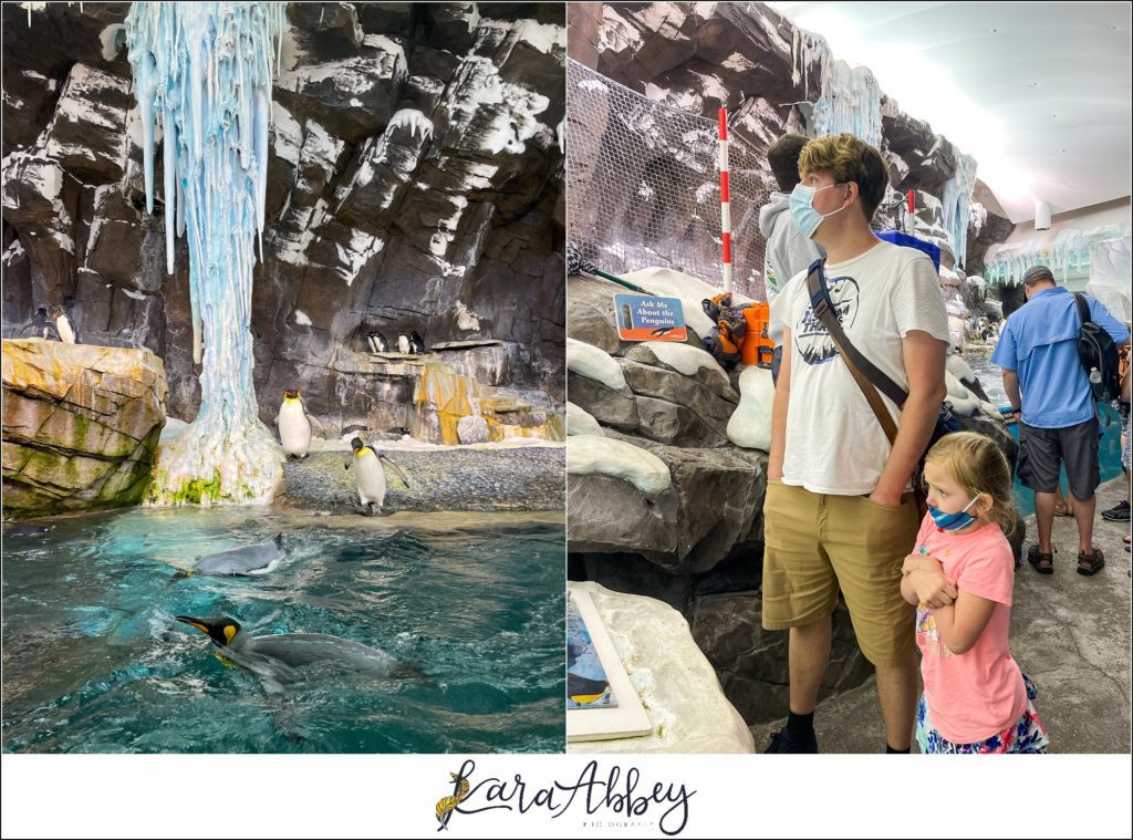 Our Week Long Trip to Florida The Adventuring Abbeys