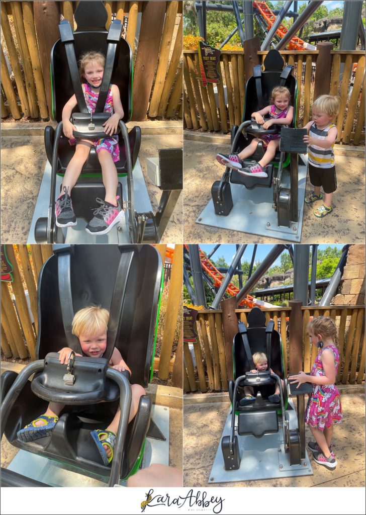 Our Week Long Trip to Florida The Adventuring Abbeys