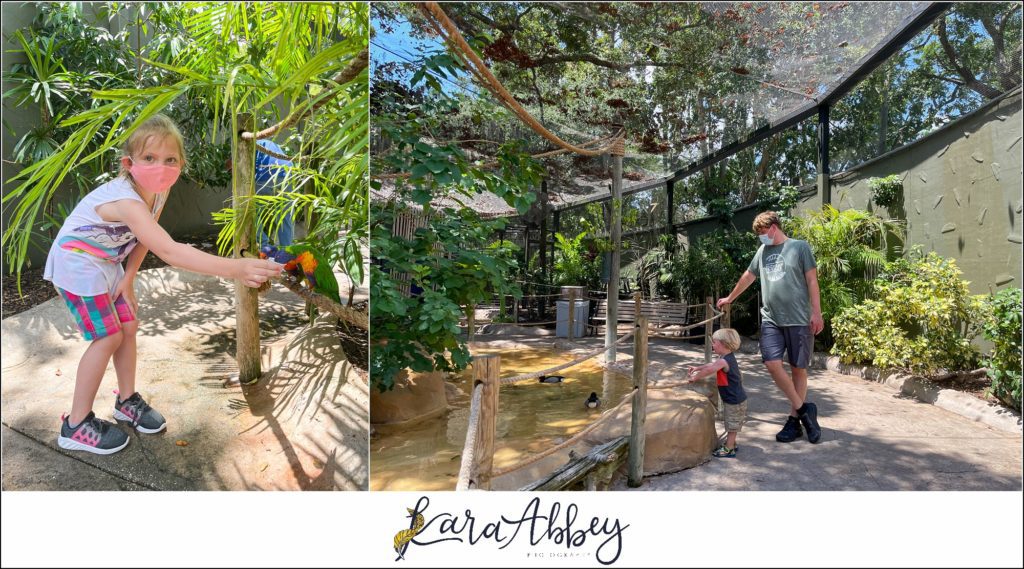 Our Week Long Trip to Florida The Adventuring Abbeys