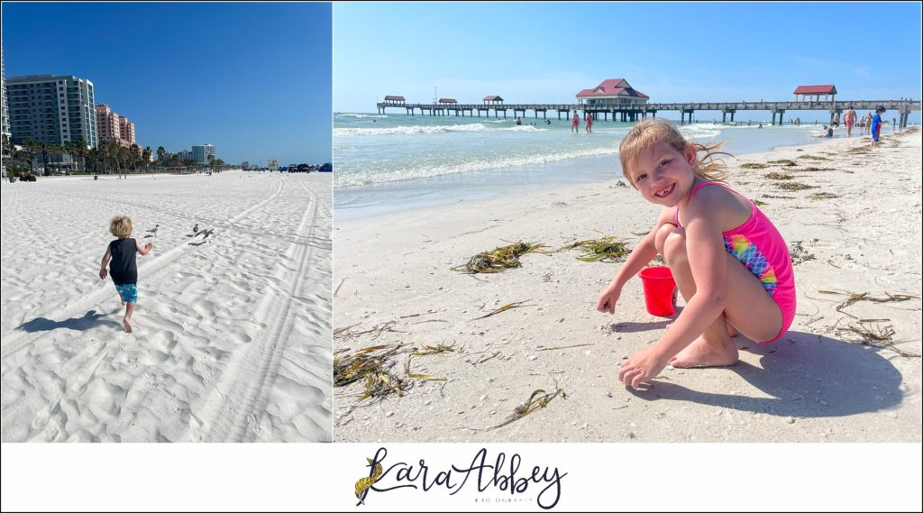 Our Week Long Trip to Florida The Adventuring Abbeys