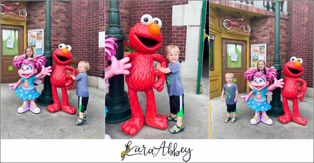 Our Week Long Trip to Florida The Adventuring Abbeys