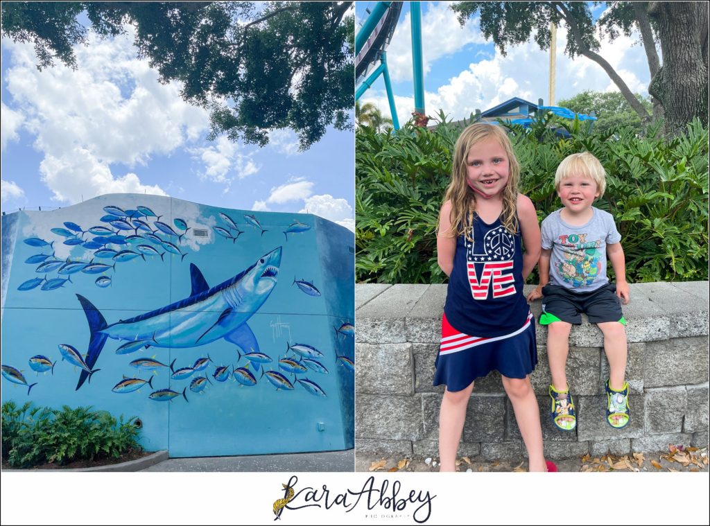 Our Week Long Trip to Florida The Adventuring Abbeys