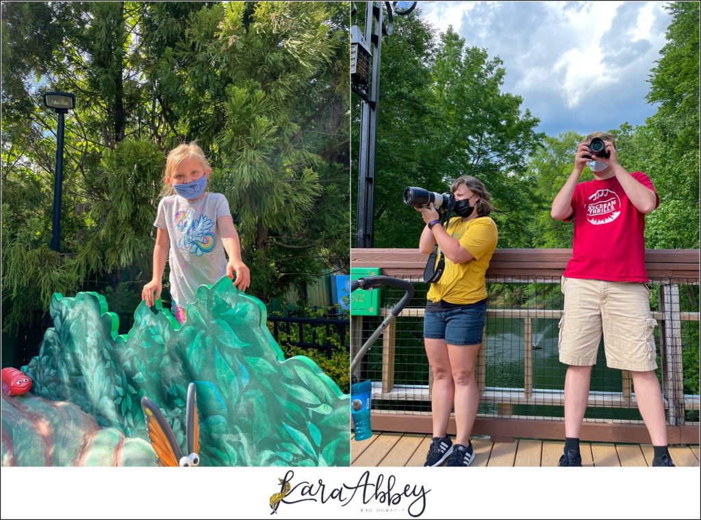 Our Week Long Trip to Florida The Adventuring Abbeys