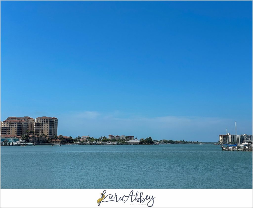 Our Week Long Trip to Florida The Adventuring Abbeys